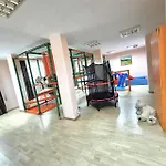 орфинда- Apartment *