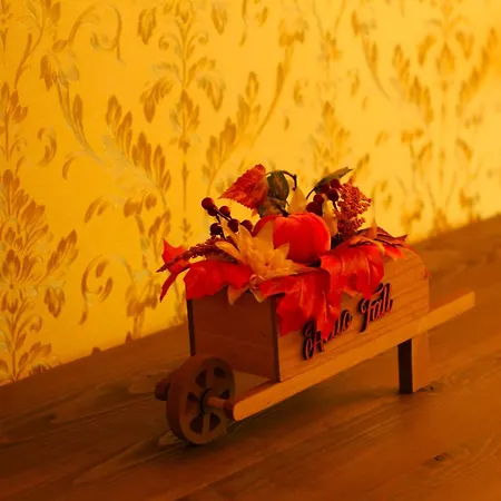 орфинда- * 팜포로보